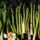 Row of roasted veggies (asparagus, sprouts, etc.)